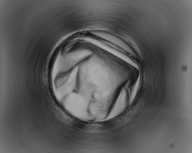 X0000101100784200807171911