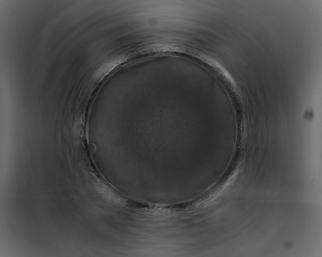 X0000101100785200807171911