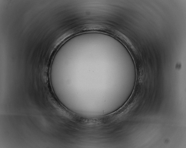 X0000101100786200807171911