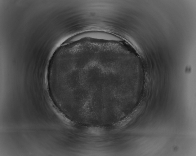 X0000101100788200807171911