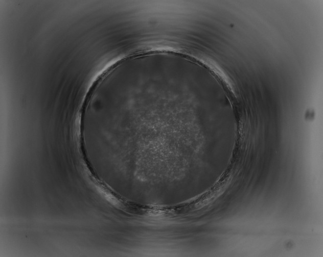 X0000101100790200807171911