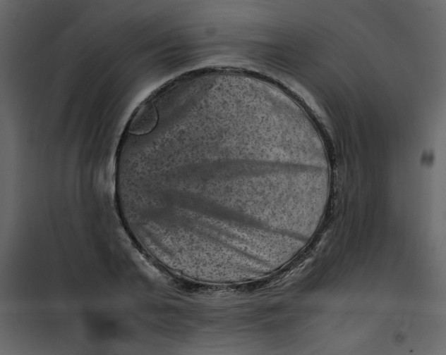 X0000101100791200807171911