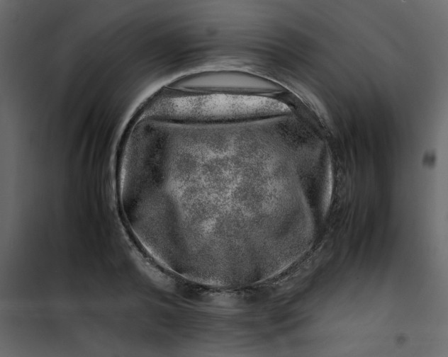 X0000101100792200807171911