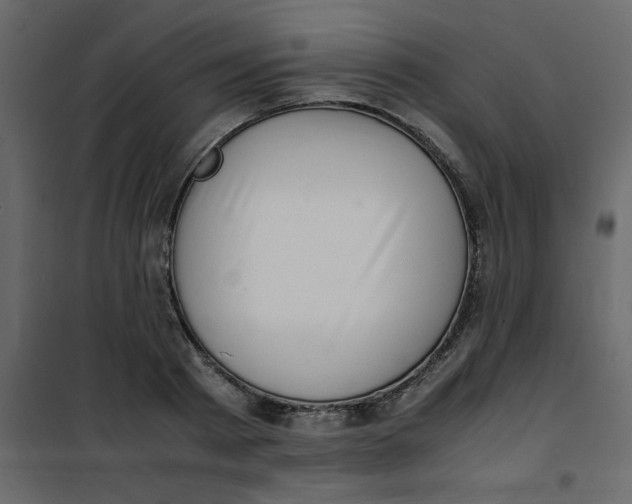 X0000101100793200807171911