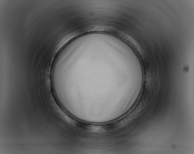 X0000101100794200807171911