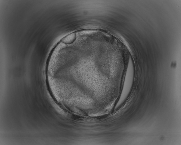 X0000101100795200807171911