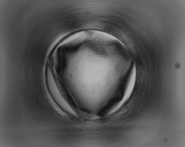 X0000101100796200807171911