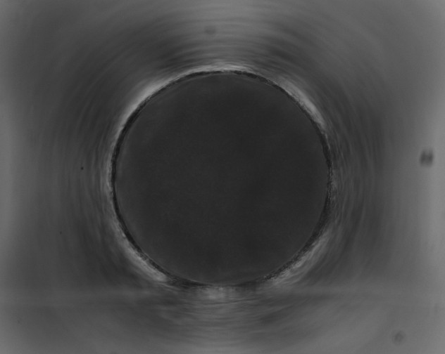 X0000101100797200807171911