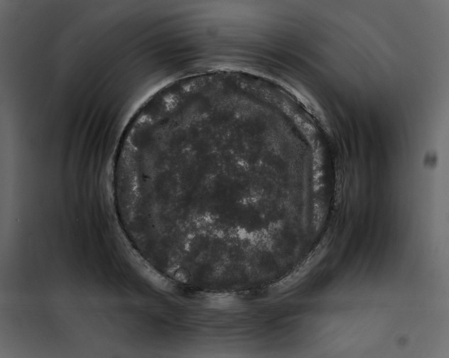 X0000101100798200807171911