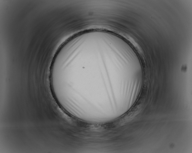 X0000101100799200807171911