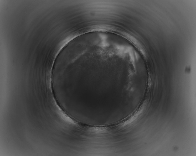 X0000101100802200807171911