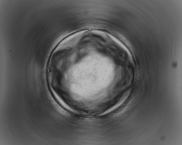 X0000101100803200807171911