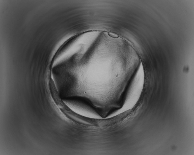 X0000101100804200807171911