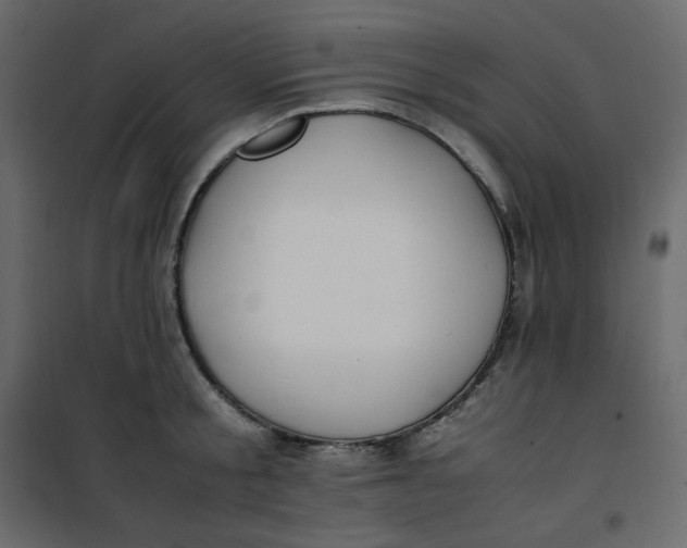 X0000101100805200807171911