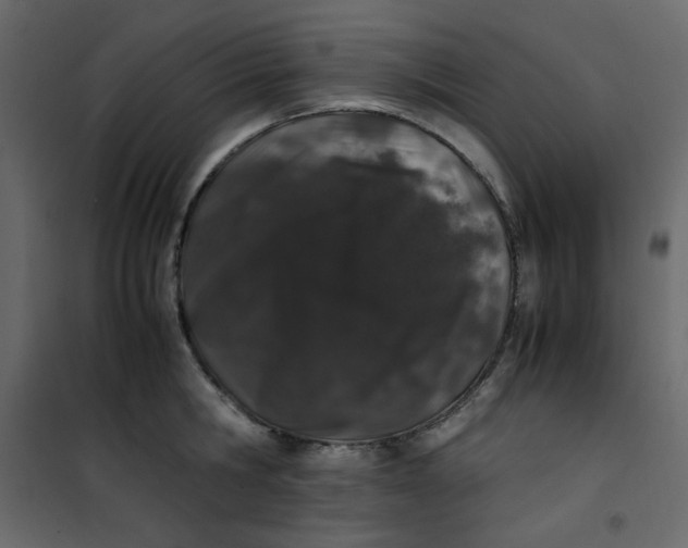 X0000101100806200807171911