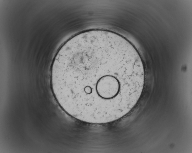 X0000101100807200807171911