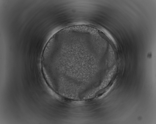 X0000101100810200807171911