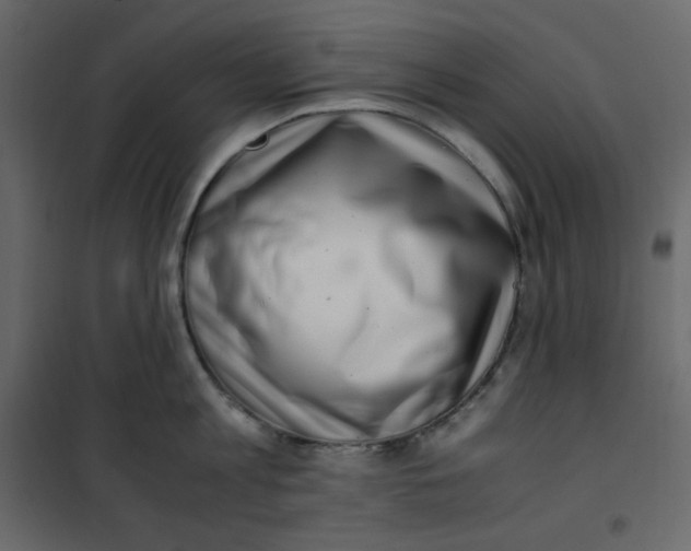 X0000101100813200807171910