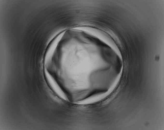 X0000101100814200807171910