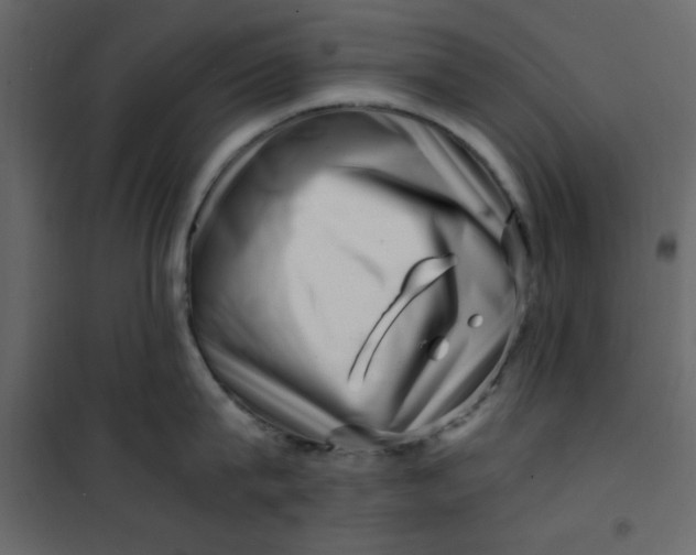 X0000101100815200807171910