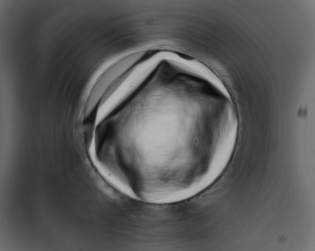 X0000101100816200807171910