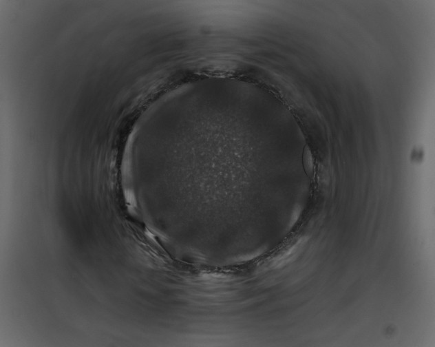 X0000101100818200807171910