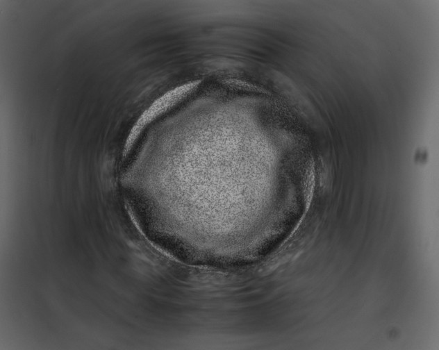 X0000101100819200807171910