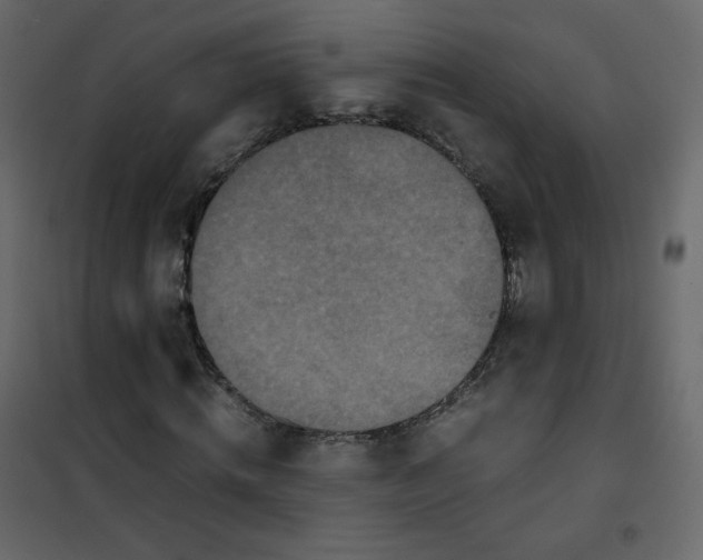 X0000101100820200807171910