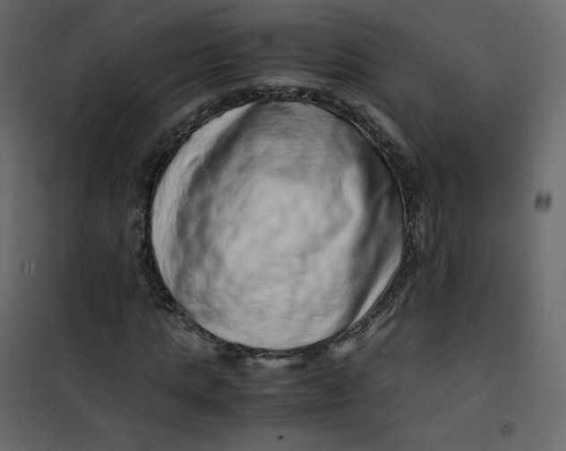 X0000101100821200807171910