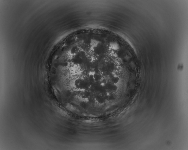 X0000101100823200807171910