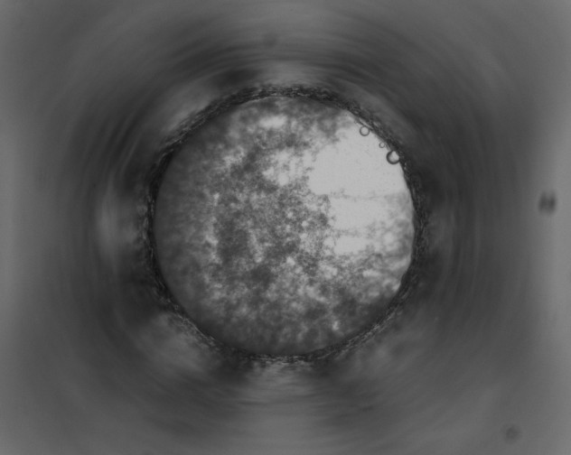 X0000101100824200807171910