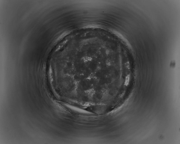 X0000101100825200807171910