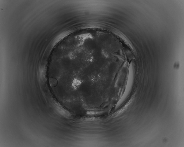 X0000101100826200807171910