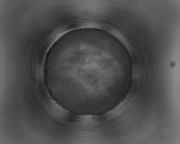 X0000101100828200807171910