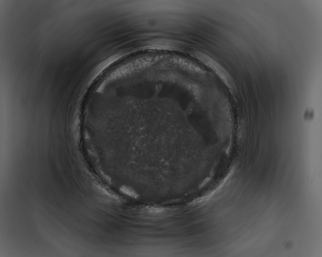 X0000101100829200807171910