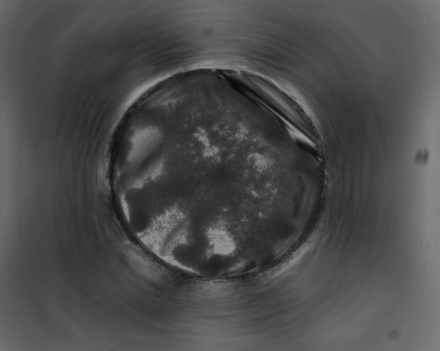 X0000101100830200807171910