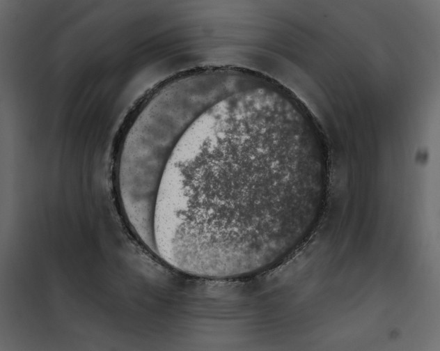 X0000101100832200807171910