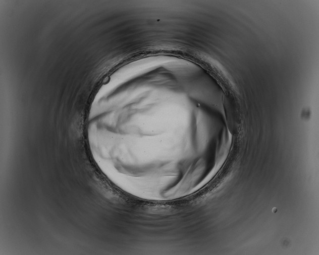 X0000101100833200807171910