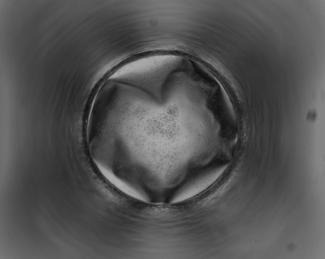 X0000101100834200807171910