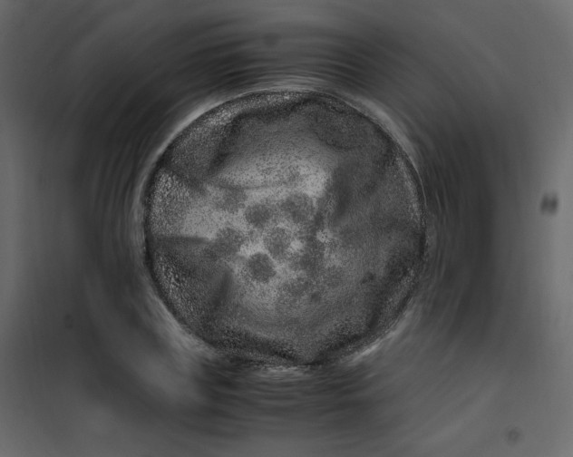 X0000101100835200807171910