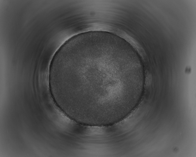 X0000101100836200807171910