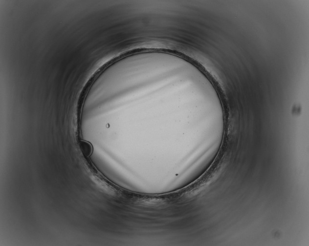 X0000101100837200807171910