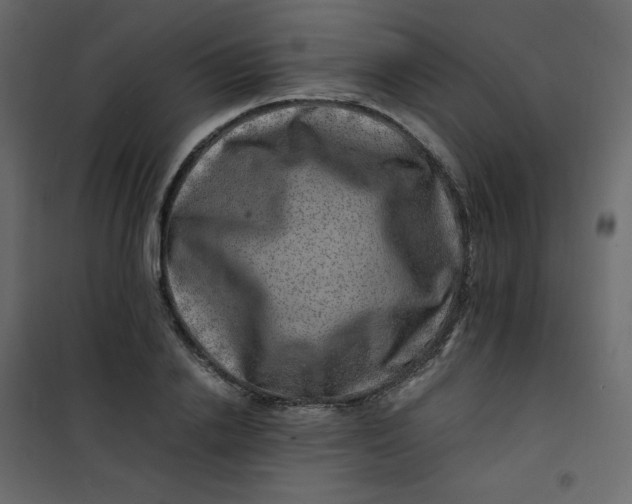 X0000101100838200807171910