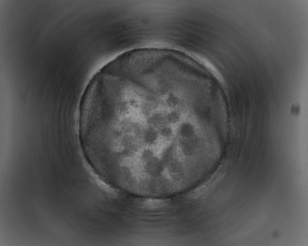 X0000101100839200807171910