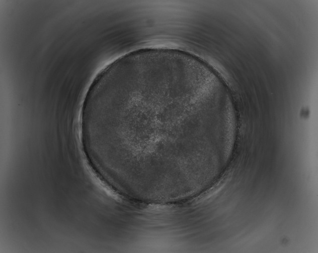 X0000101100840200807171910