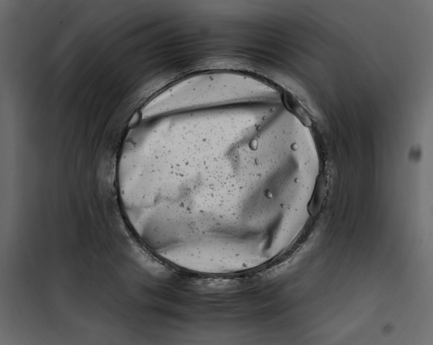 X0000101100841200807171910