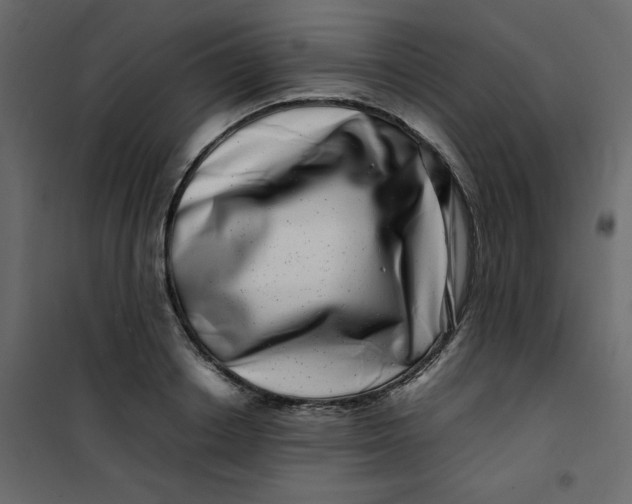 X0000101100842200807171910