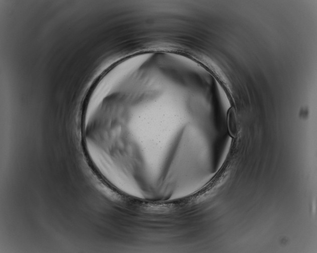 X0000101100843200807171910