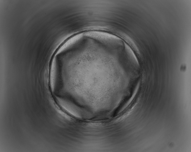 X0000101100844200807171910