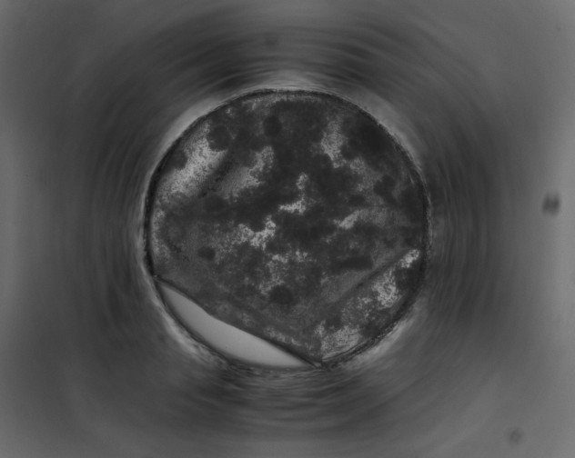 X0000101100845200807171910